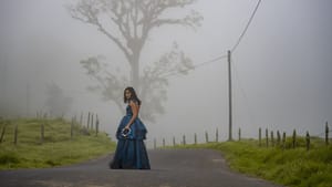 A woman (Clara) in a dark purple, long dress stands in the middle of the road, an ominous tree in the fog behind her.