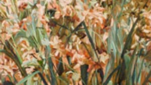 'Red Orchids': Down on your hands and knees.