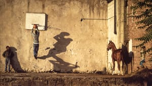 A person leaps to dunk a basketball in an outdoor court, a horse looking towards them on the right