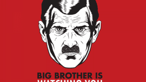 Obama doesn't look like Big Brother, but...