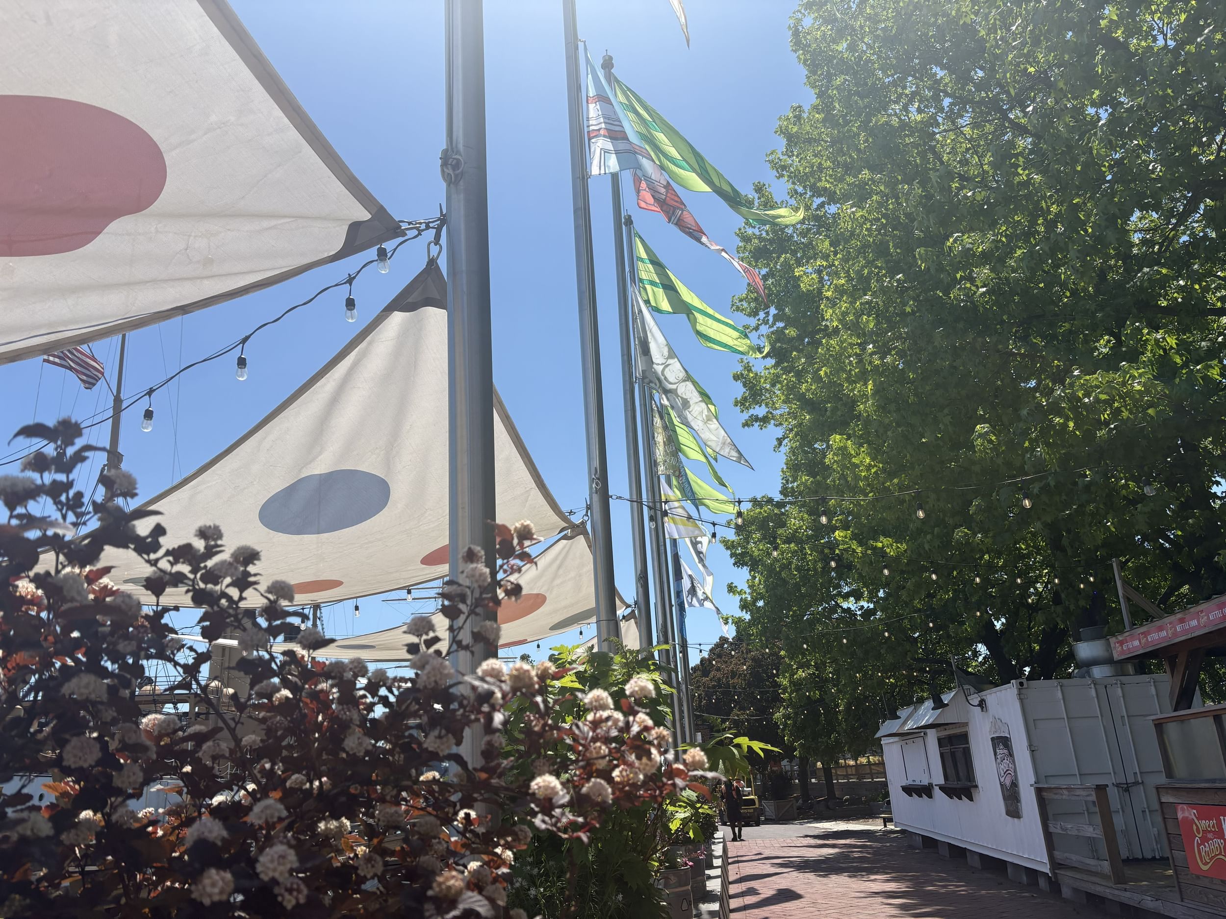 View from the ground of colorful, intricately designed pennant flags flying on tall silver poles on a sunny spring day.
