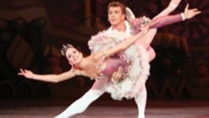 289 Nutcracker Aldridge