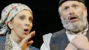 532 fiddlerharveyandrea