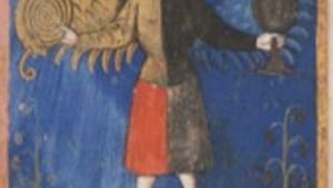 682 crowned hermaphrodite