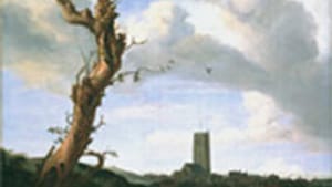 7 Ruisdael