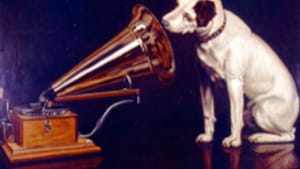 972 Nipper