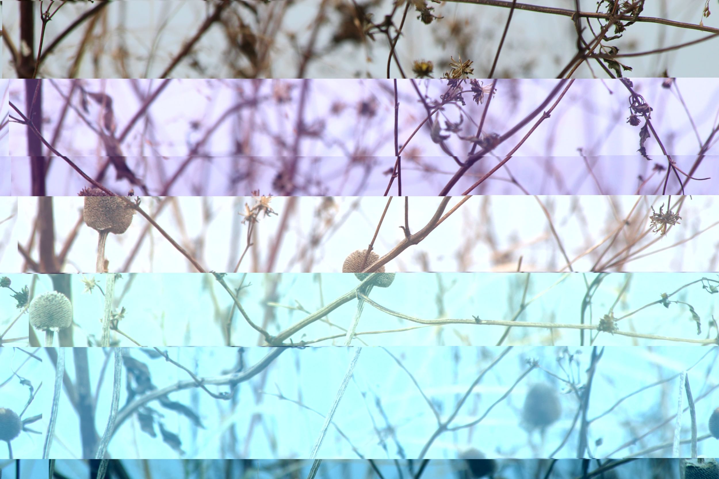 Look through your own eyes. See what you find. (Photo by Aaron Pond.)