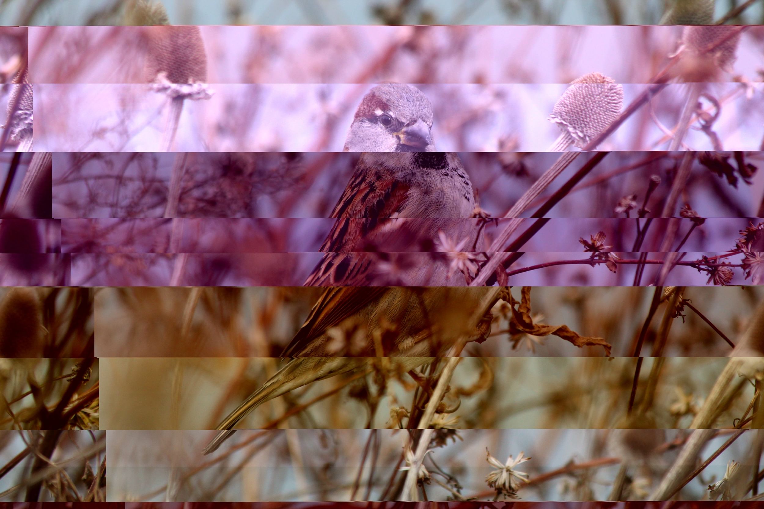 The world is not always what you were taught, and that's just fine. (Photo by Aaron Pond.)