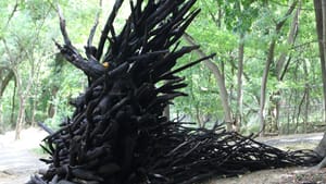 The scale of Alison Stigora's "Mazzaroth" brings to mind Paul Bunyan's abandoned campfire. (Photo courtesy of Abington Art Center.)