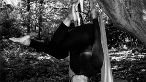 Black and white photo of a performer outdoors hanging from a tree via an aerial silk