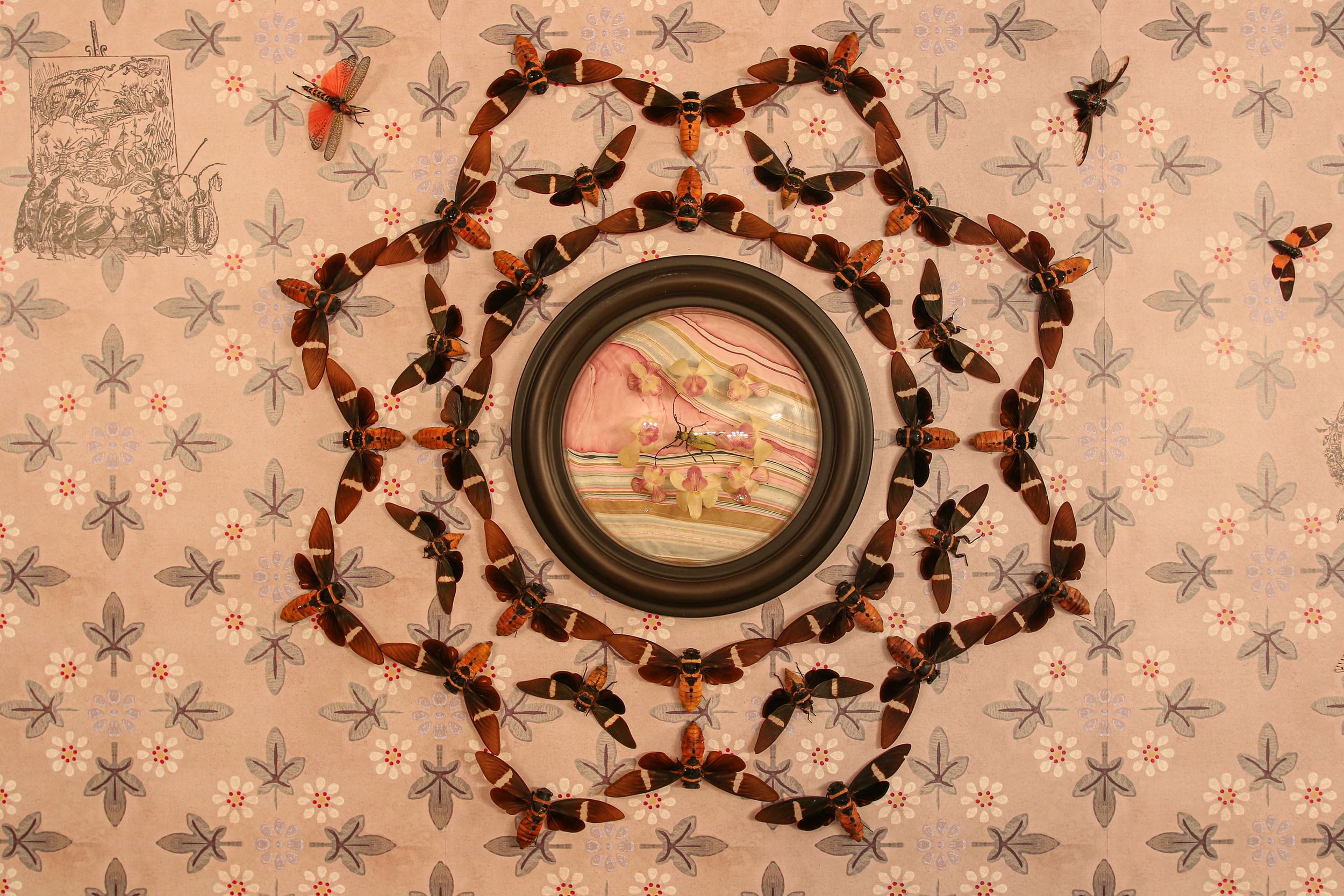 Over wallpaper of geometric leaves and flowers, large orange-red cicadas with wings outstretched make a floral pattern.