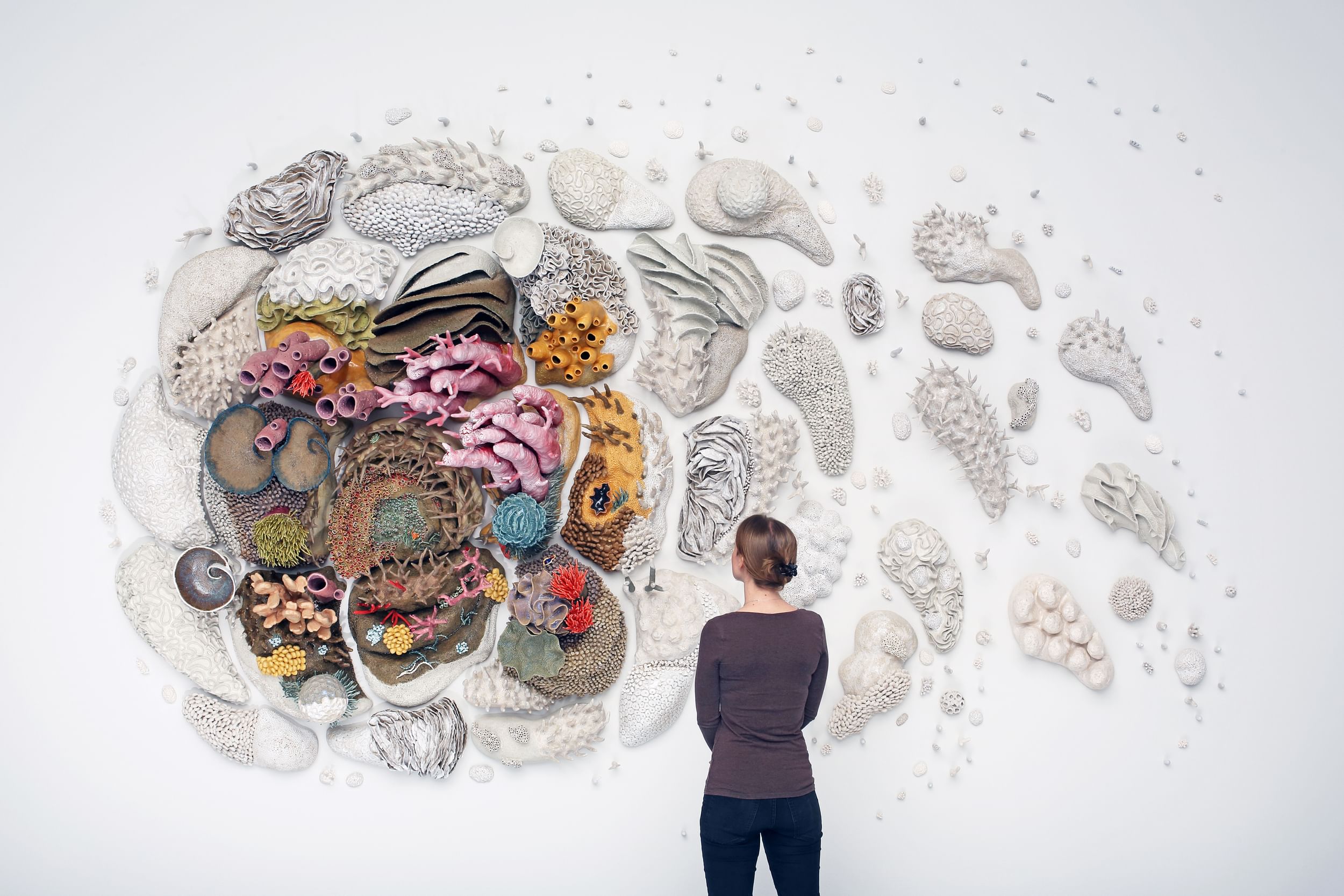 Seen from behind, Mattison looks at her large-scale work of lifelike coral ceramic pieces mounted on the wall as if swirling