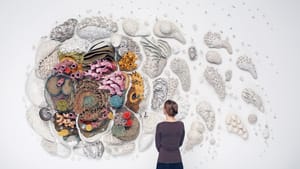 Seen from behind, Mattison looks at her large-scale work of lifelike coral ceramic pieces mounted on the wall as if swirling