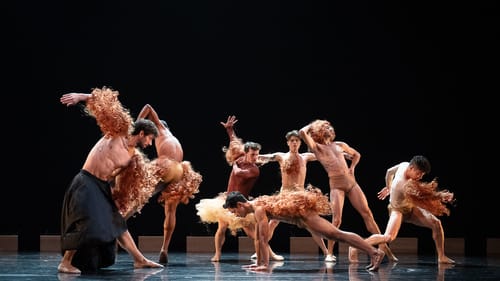 7 male dancers in skin-colored shorts strike zany poses with luxuriant curly wigs fixed to different spots on their bodies