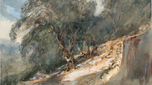 'Landscape: Trees with Gnarled Trunks' (undated), watercolor with graphite on woven paper, is most likely another plein air painting. (Photo courtesy of the Delaware Art Museum.)