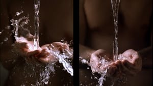 Look again: Bill Viola's 2005 'Ablutions,' a color video diptych on two flat-panel displays. (Image courtesy of the Barnes.)