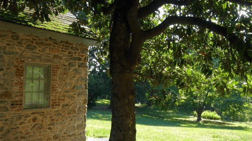 John Bartram House: Completed in 1731, Bartram designed the porch with stone columns, rare on Pennsylvania's colonial buildings.