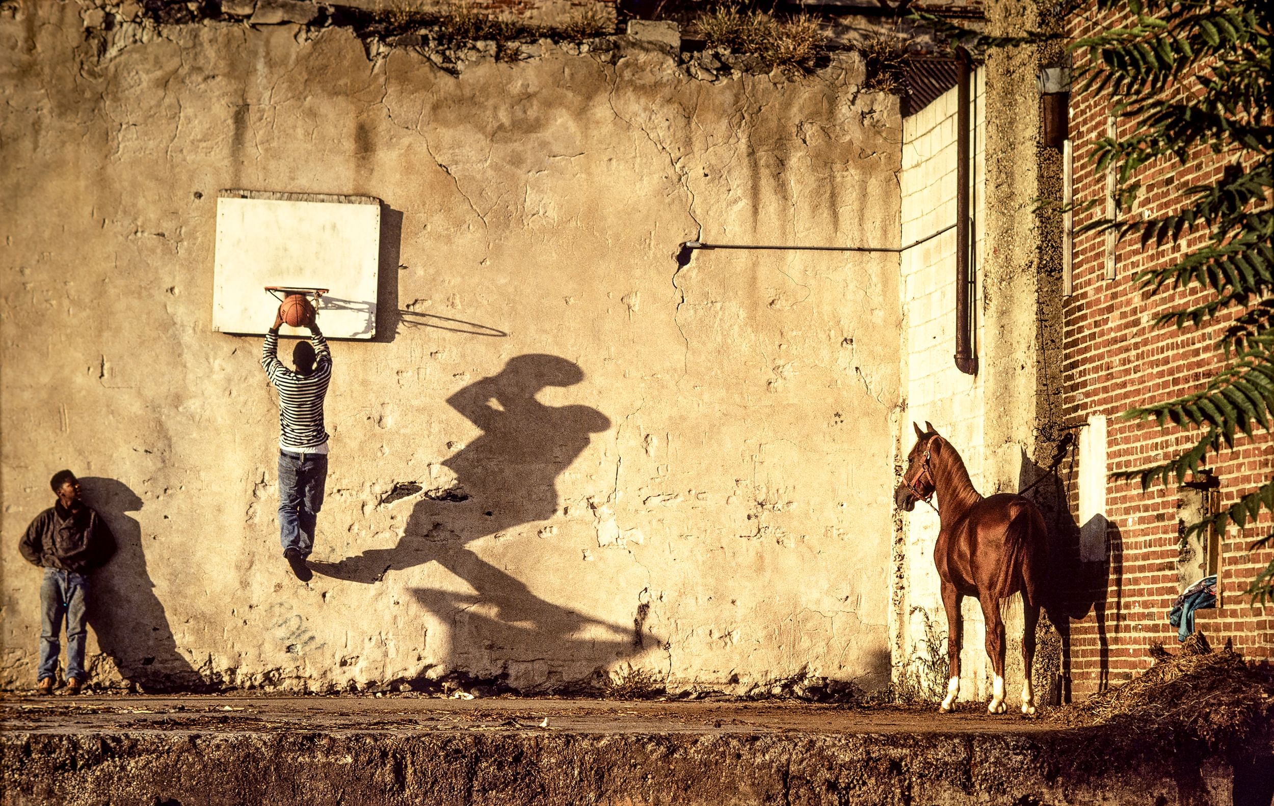 Two Black teens play on a sunlit concrete court, while a shiny brown horse tethered to a brick wall looks on calmly.