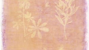 Rectangular print with gentle peach, maroon and yellow colors featuring silhouettes of six different plants.