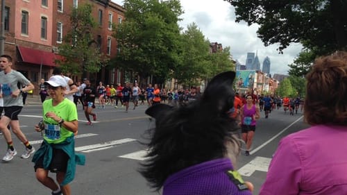 On the sidelines of the Broad Street Run in 2017. (Photo by Alaina Johns.)