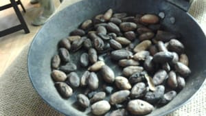 A bowl of real cacao beans at the opening of 'Chocolate.' Photo by Alaina Mabaso.