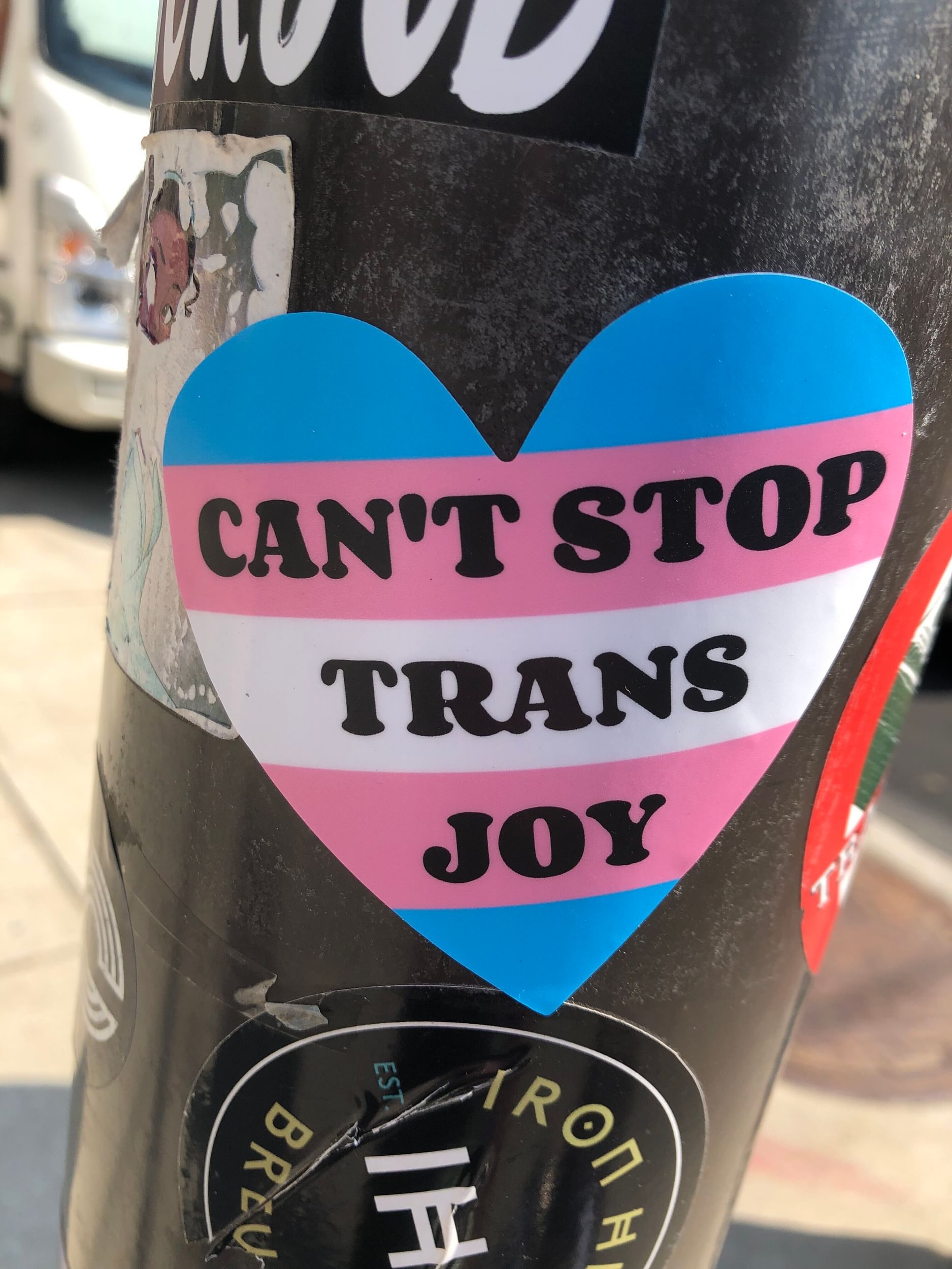 Cant stop trans joy