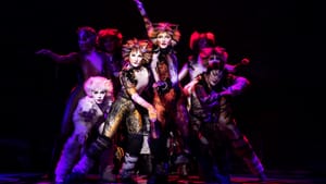 They’re not going away anytime soon: the cast of the 2019 Broadway tour of ‘Cats.’ (Photo by Matthew Murray.)