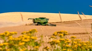 A combine harvesting wheat in eastern Washington. (Photo by Charles Knowles via Creative Commons/Wikimedia)