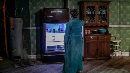 Scene from the show. Seen from behind, a woman in a long turquoise bathrobe & curlers, stands facing the open refrigerator.