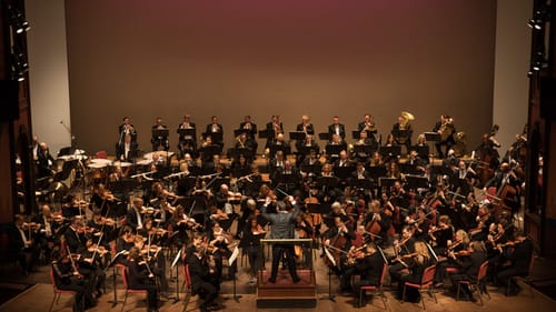 Bracing and beautiful: the Delaware Symphony Orchestra. (Photo by Joe del Tufo.)
