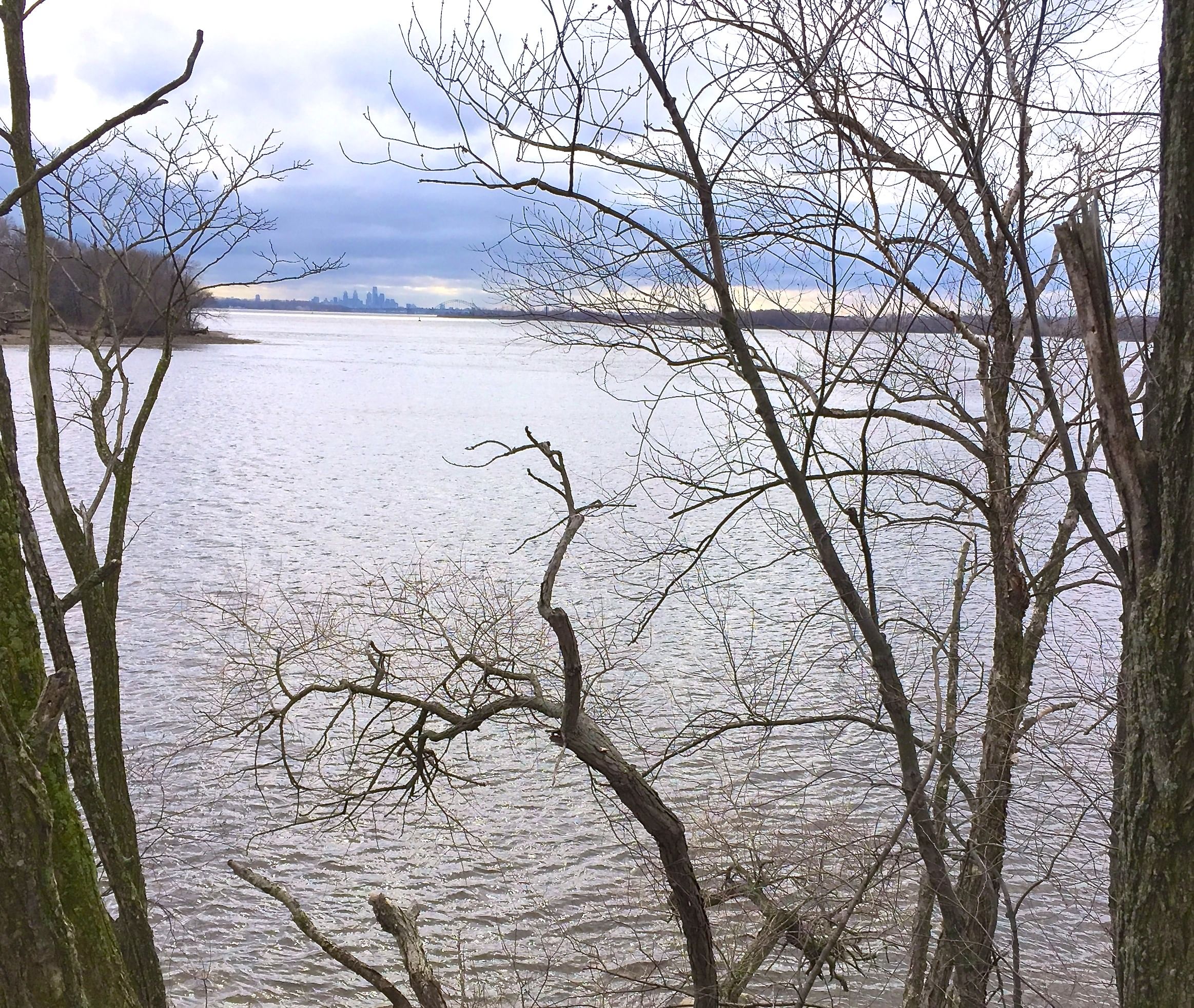 Delaware River, Riverside, N.J., looking toward Philadelphia from Amico Island Park. (Photo by the author.)