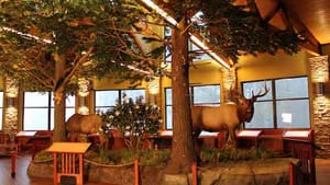 The view from inside Benezette's Elk County Visitors' Center: An elk appetizer before the smorgasbord. (Photo by Taylor Studios, Inc., via Flickr.)