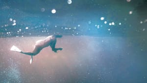 A person in a swimsuit wearing swim paddles swims underwater in an underwater shot. Light seeps through water, casting colors