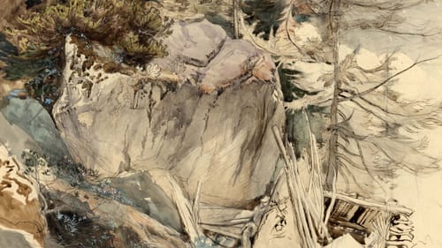 "Mountain Rock and Alpine Rose," 1844 or 1849, John Ruskin (1819–1900)
Pencil, ink, chalk, watercolor and gouache, 11 3/4 x 16 1/4 inches. (Photo courtesy of the 
Ruskin Foundation, Ruskin Library, Lancaster University, RF 1395.)