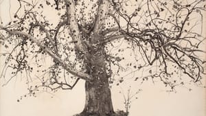 "Sycamore Tree, Study for Pennsylvania Landscape," 1941. Andrew Wyeth (1917-2009). Ink and watercolor, 29 3/4 x 39 3/8 inches (Photo courtesy of the Delaware Art Museum, Gift of Mr. and Mrs. William E. Phelps, 1964, © 2018 Andrew Wyeth/Artists Rights Society, New York.)