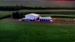 A stylized drone shot of a farm with rolling green fields and an pink-tinted orange sunset in the distance