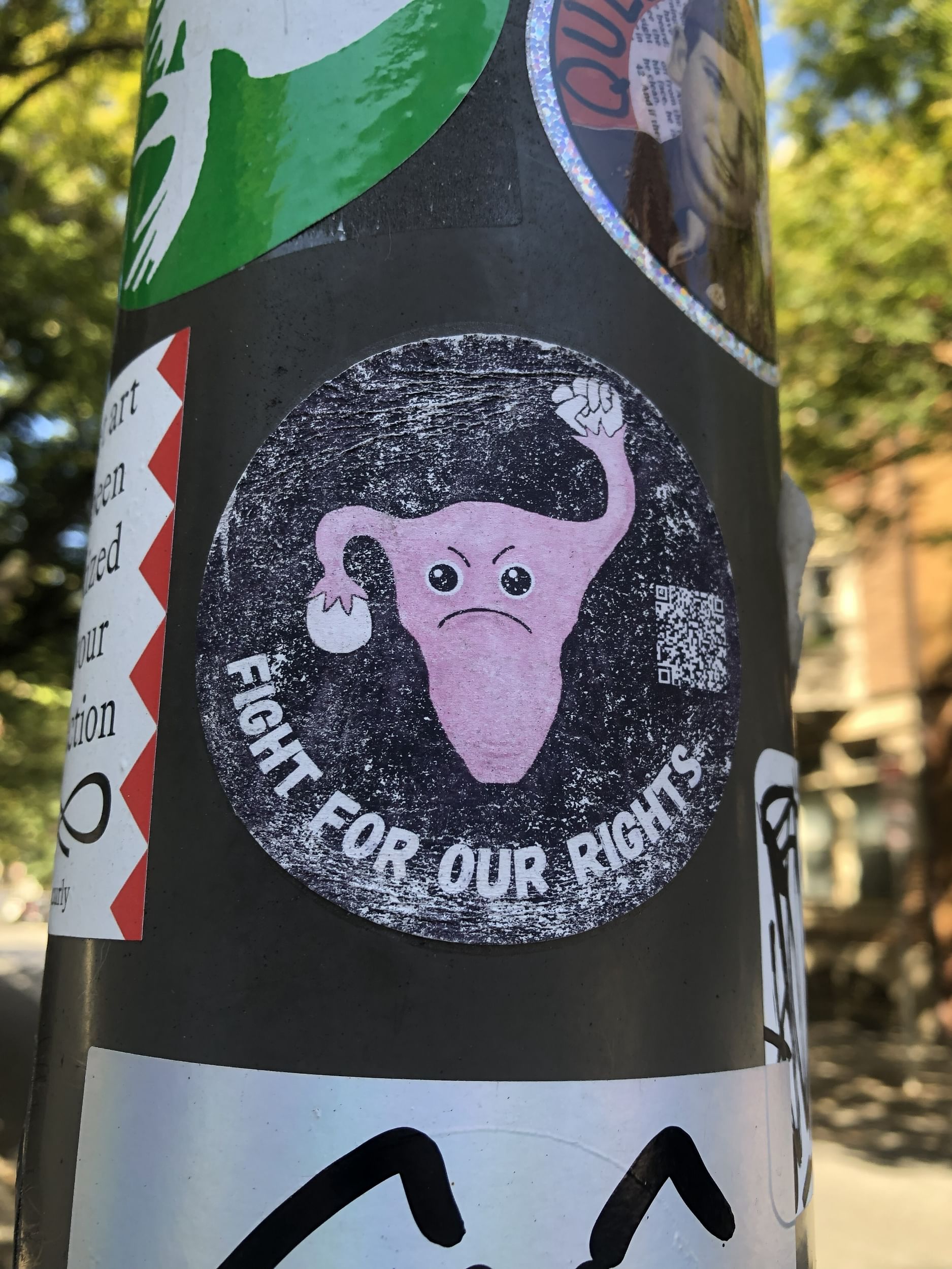 Fight for our rights uterus jpg