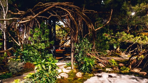 Closeup on part of the ethereal display shows greenery, moss, an archway of vines, and water feature with swirling mist.