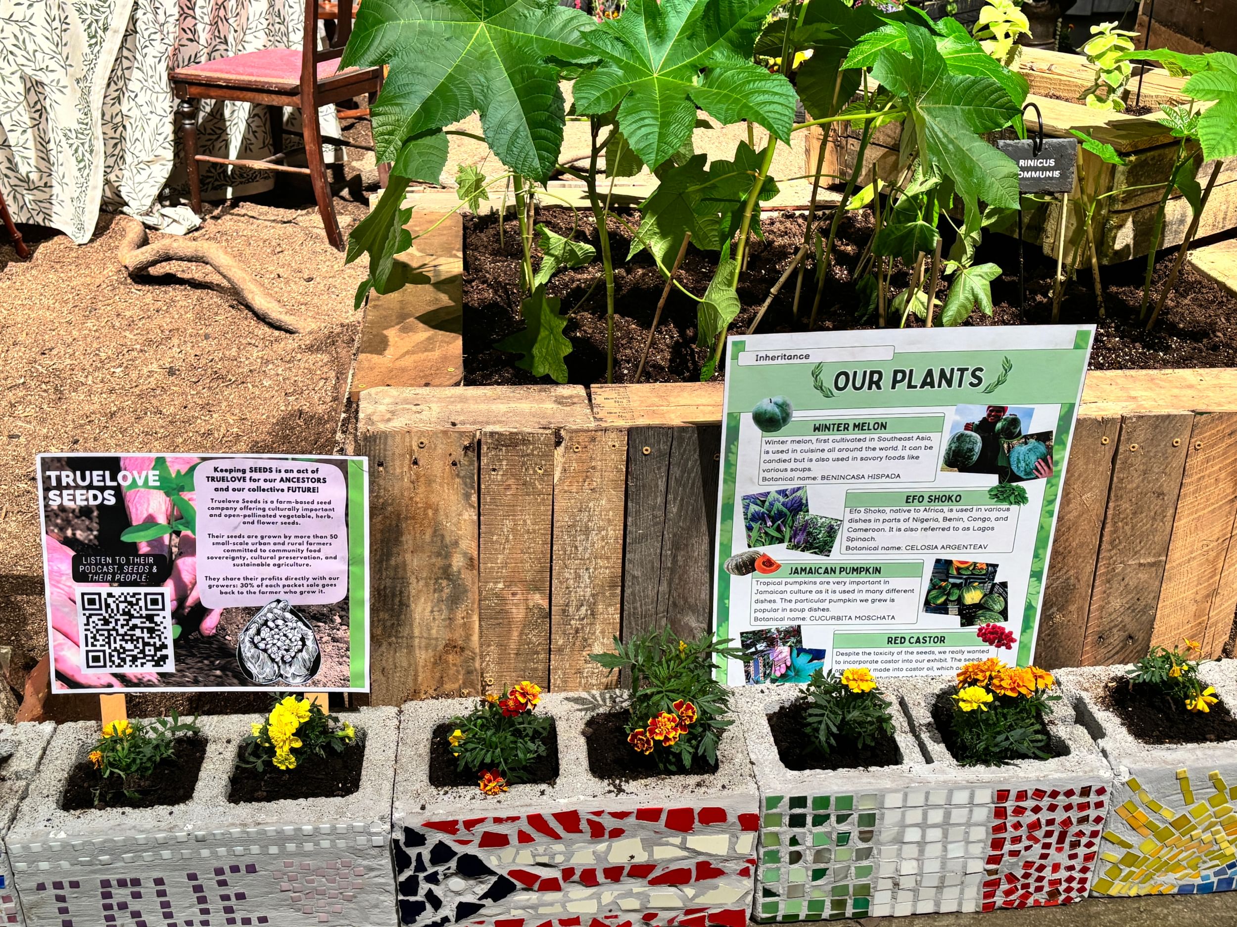 A line of gray cinderblocks decorated with colorful mosaics hold blooming orange marigold plants.
