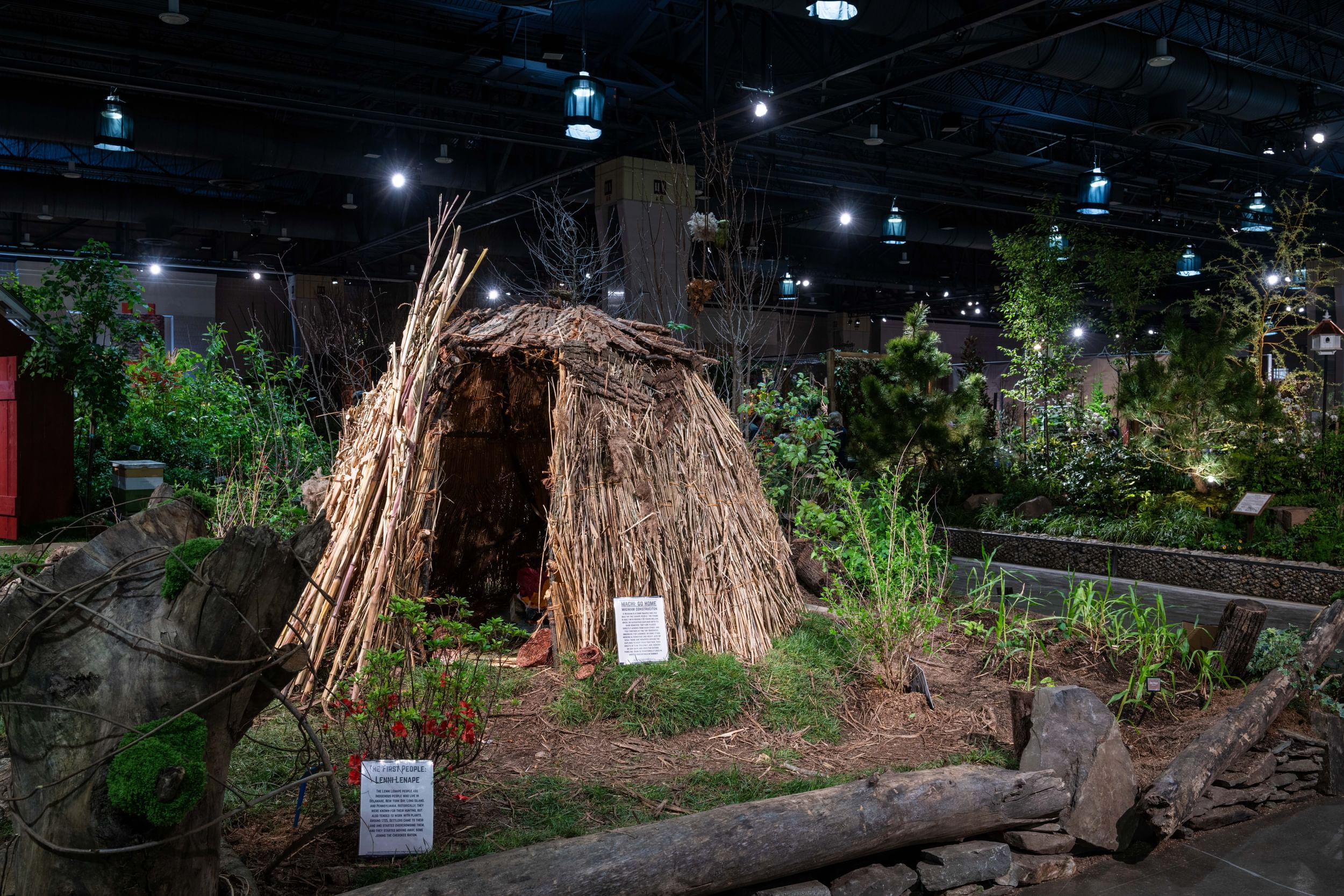 Flower Show display looks like a woodsy Lenni Lenape homesite, with plants growing and a round structure of saplings & bark