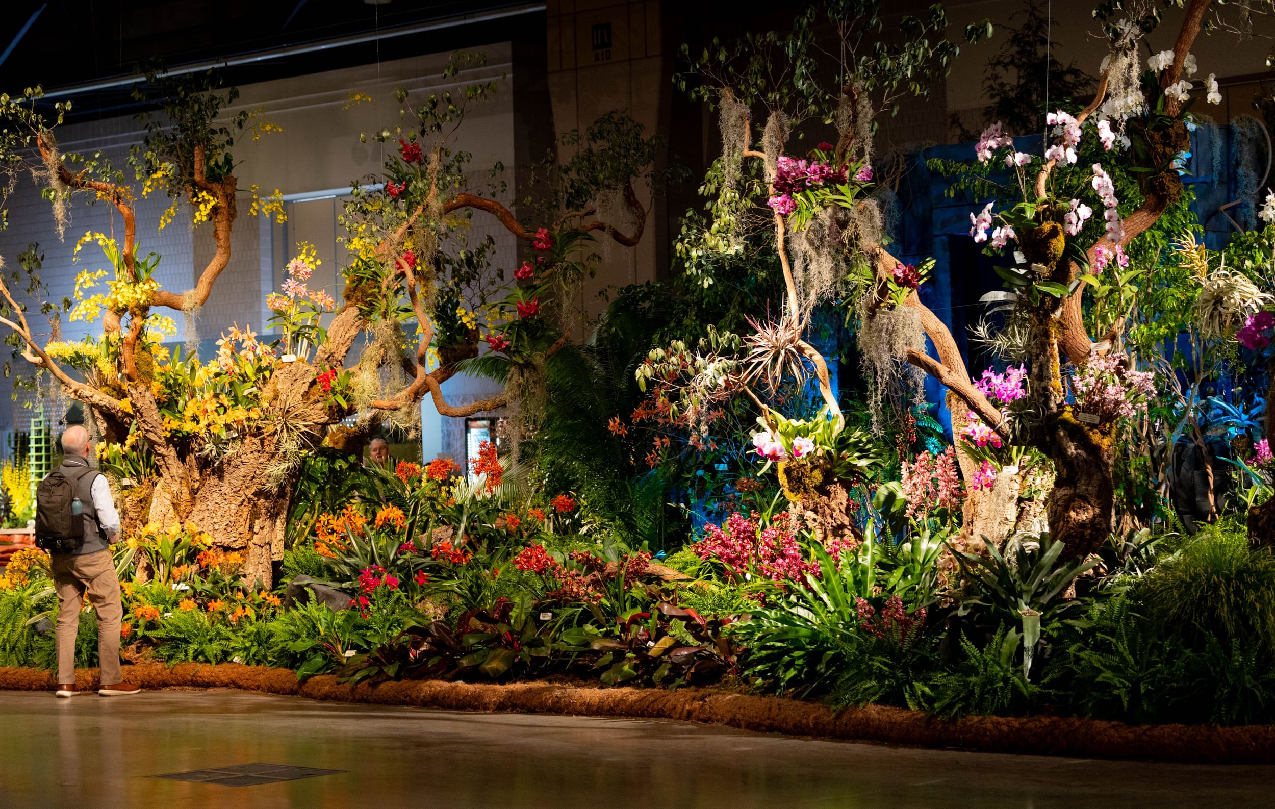 Huge display in the style of a tropical forest, with twisting trees, ferns, orchids, palms, and bromeliads.
