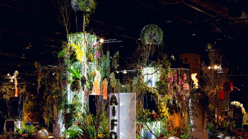 Dramatically lit display of small trees, hundreds of flowering plants, vines, fake flames, and white-lit vertical elements.