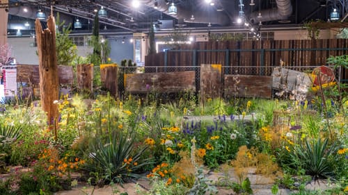 A mix of spiky, leafy, flowering plants fill a large rectangular space bounded by chain-link fence and pieces of rusted metal