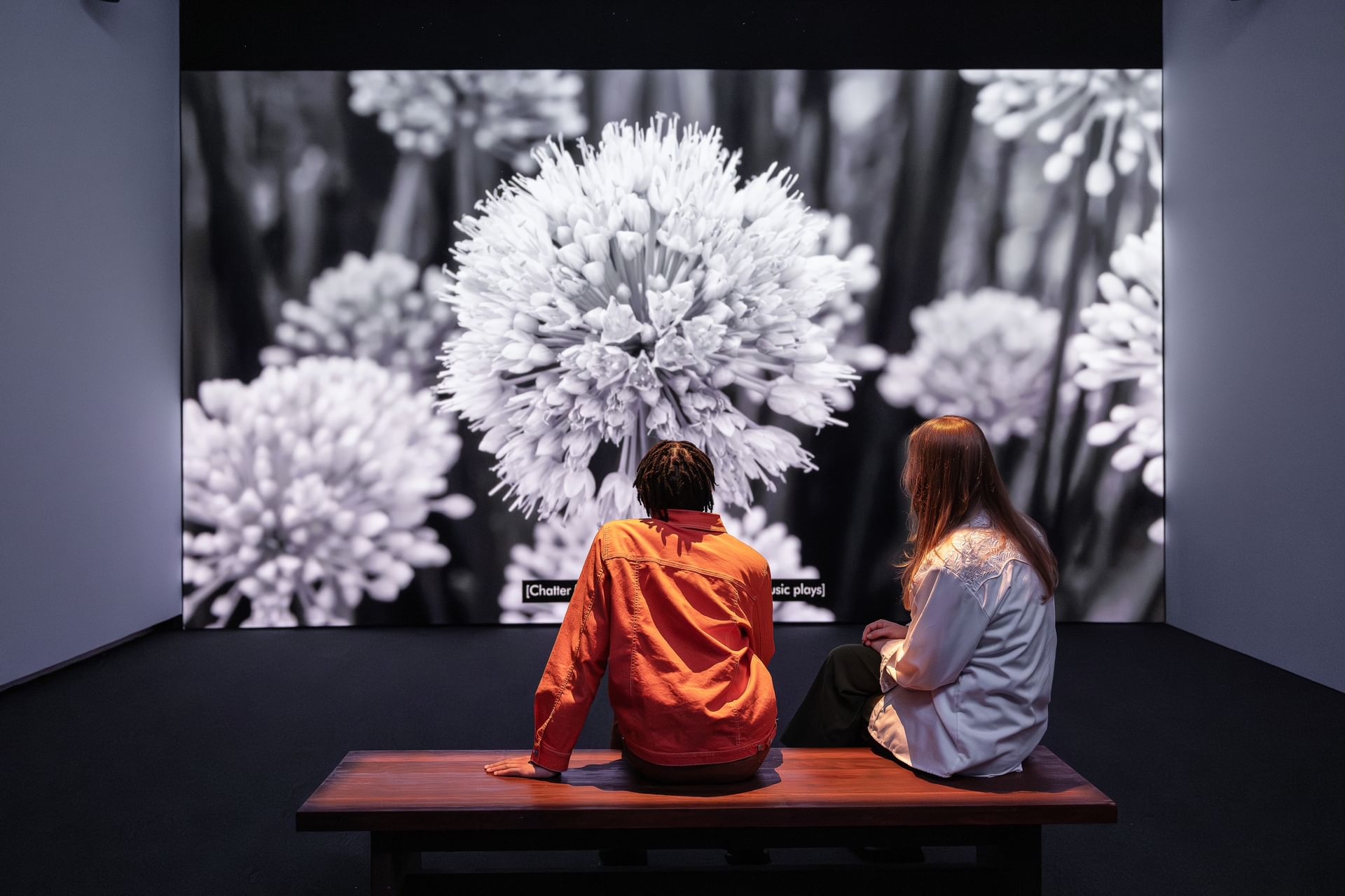 Seen from behind, two people sit on a bench looking at an artful black & white image of white blossoms.