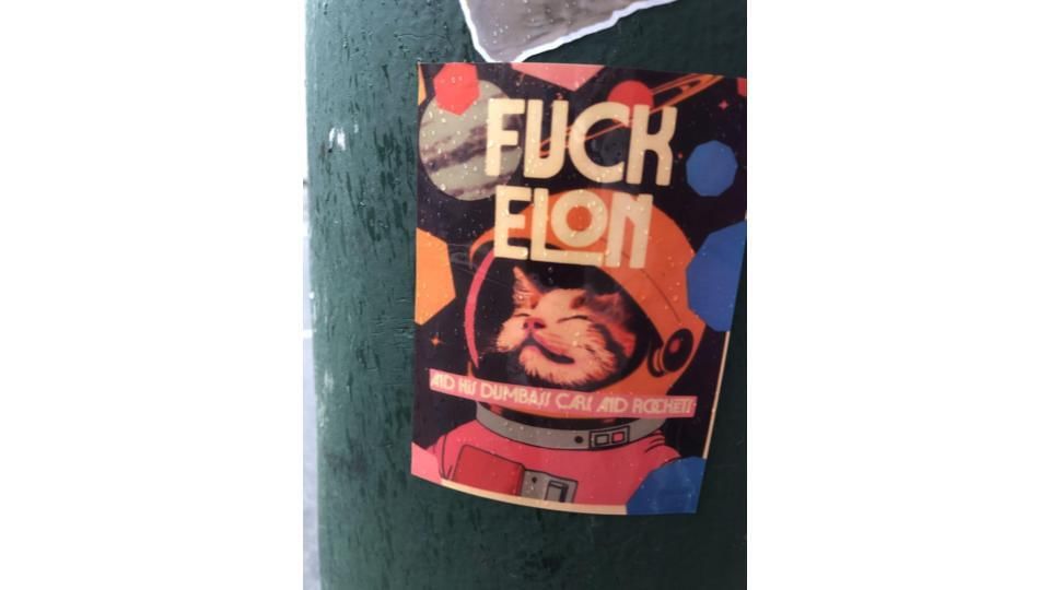 Fuck Elon cat slide