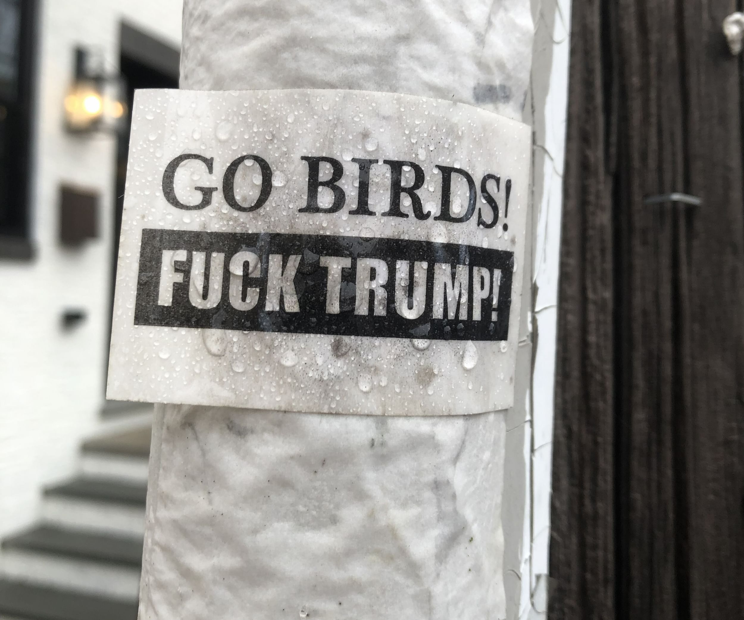 Go Birds Fuck Trump jpg