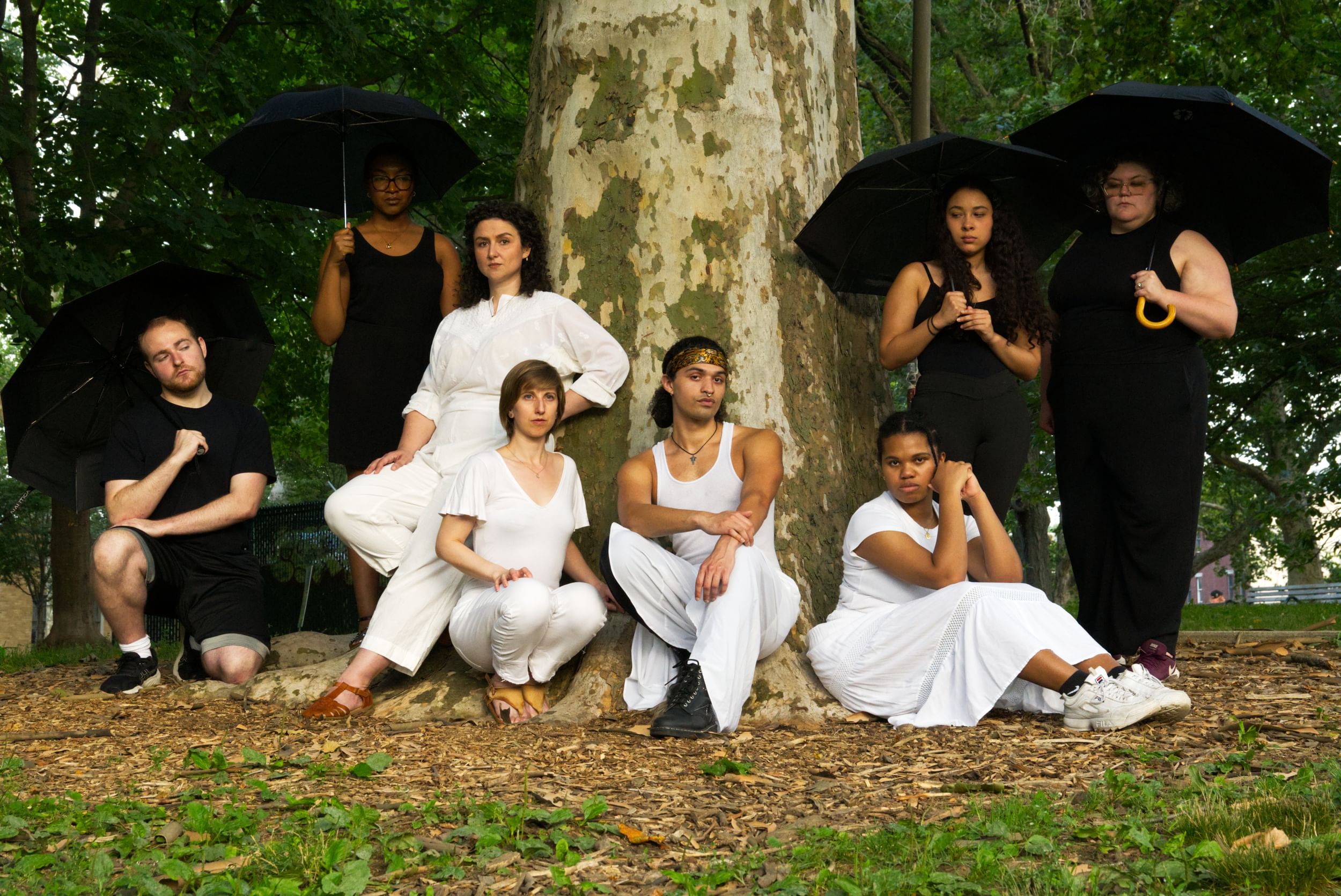 Four performers in all white sit by a tree, four around them in black stand at the sides, looking down, w/ black umbrellas