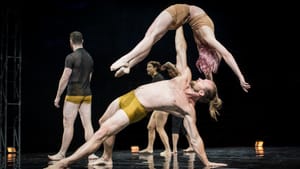 Circa asks how much we can take on — and whom can we trust to carry our load? (Photo by Pedro Grieg.)