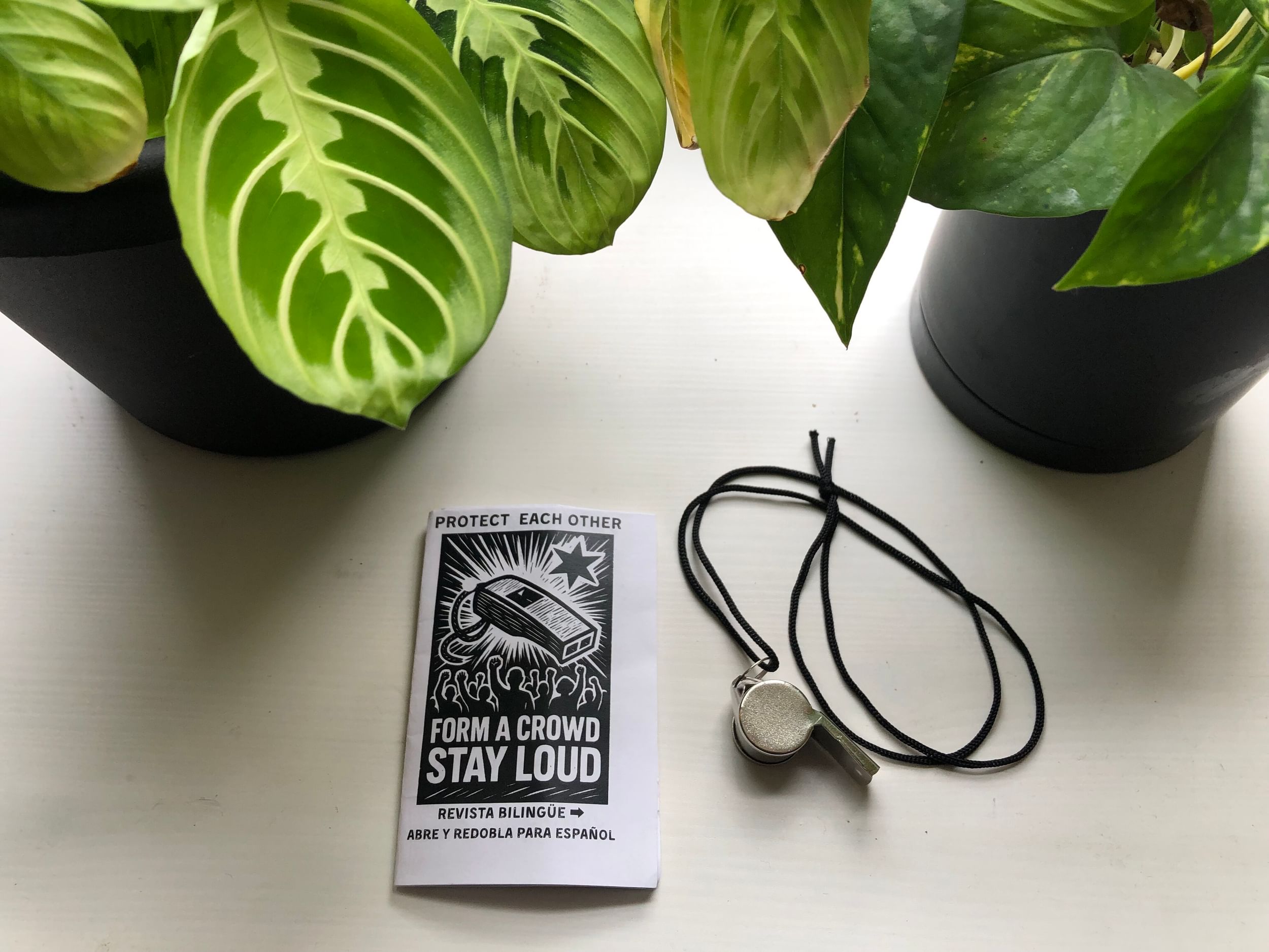 A small paper pamphlet reading “Form a crowd, Stay loud” on a white table next to green plants and a silver whistle.