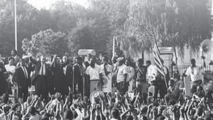 Book cover. Title, in alternating black, yellow, & red text, over a vintage black & white photo of a political rally crowd.